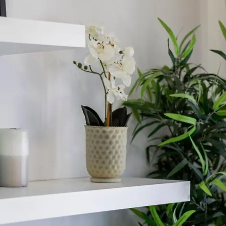 1br Retreat In Prime Location By Lovelystay